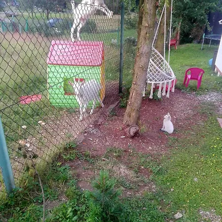 Perla Bed & Breakfast